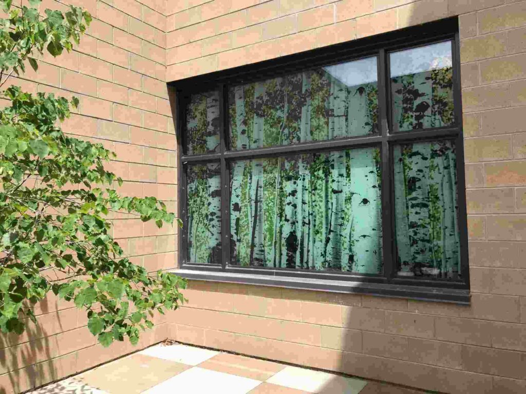 A tinted window with tree prints